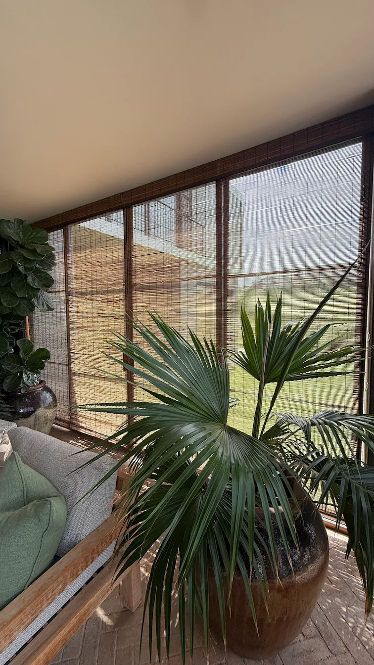 Bamboo blinds
